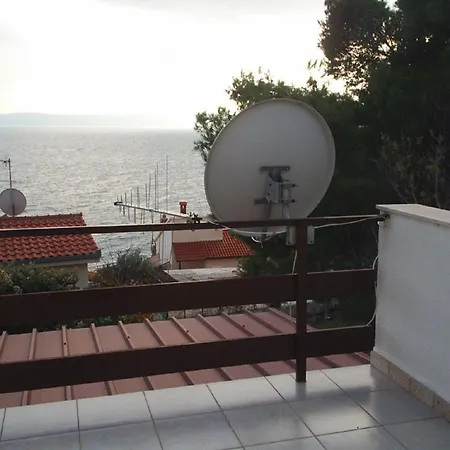 Kate Trogir